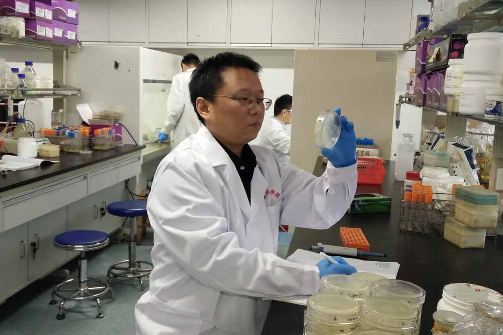 我室沈锡辉教授入选国家“万人计划”科技创新领军人才