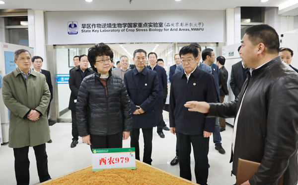 教育部副部长翁铁慧来我室调研