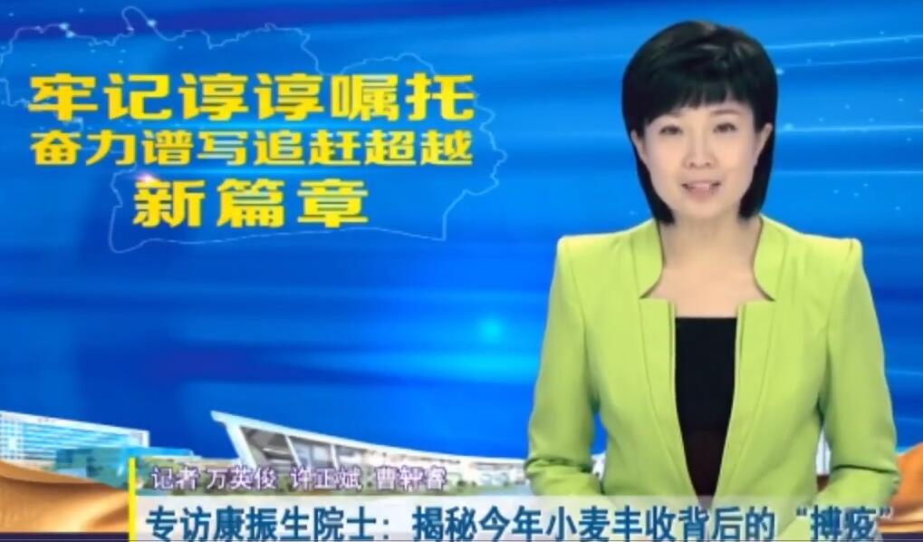 解密今年小麦丰收背后的“搏疫”