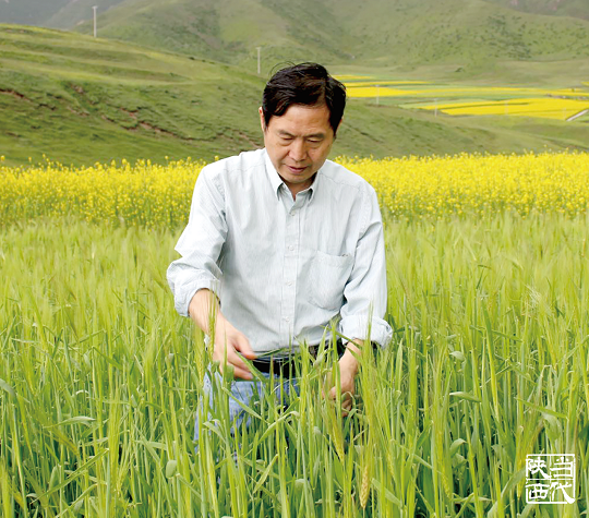 《当代陕西》治疗“小麦癌症”的人 ——记康振生院士