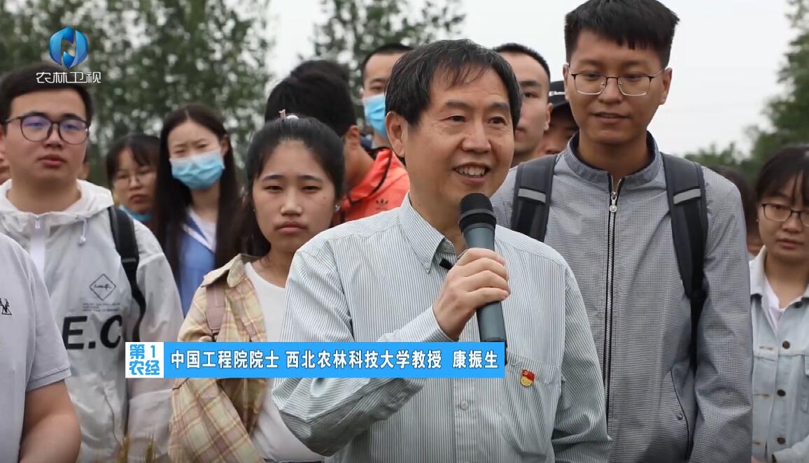 【农林卫视】西农大:麦田里的一堂特殊党课