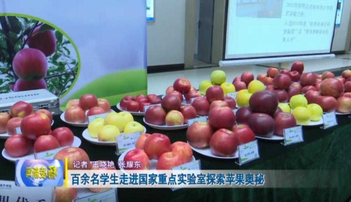 公众开放日-走进苹果世界,探索苹果奥秘