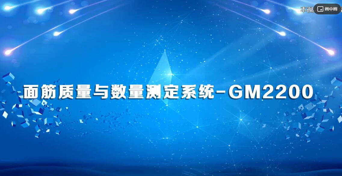 面筋质量与数量测定系统GM2200