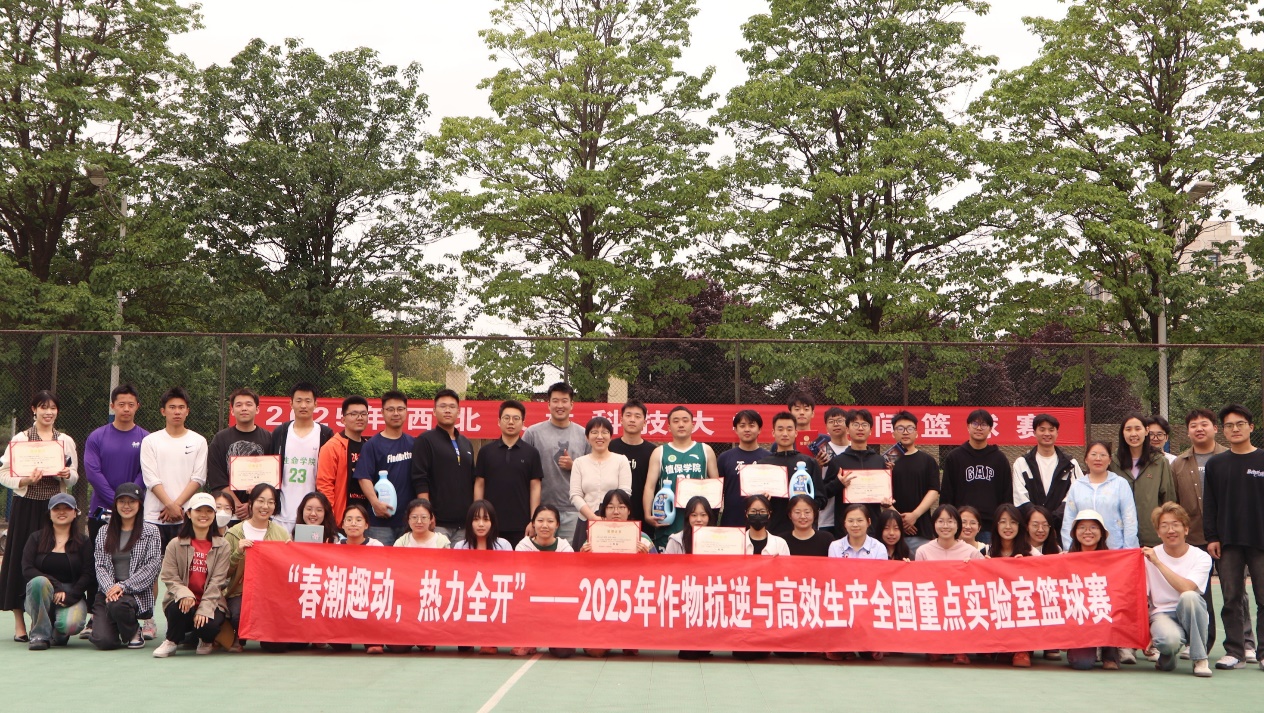 图片4.jpg