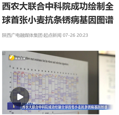 起点新闻 2025-7-28.jpg