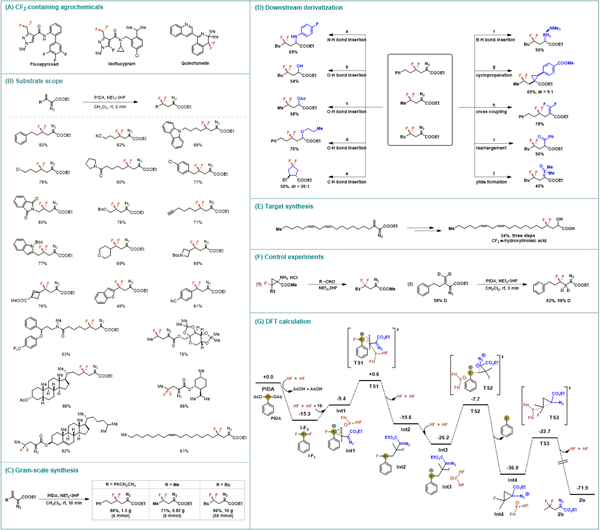 44edd6f618e24093b7ddb37b24770f75.png