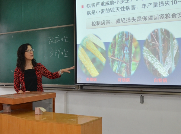 黄丽丽教授荣获“全国优秀教师”