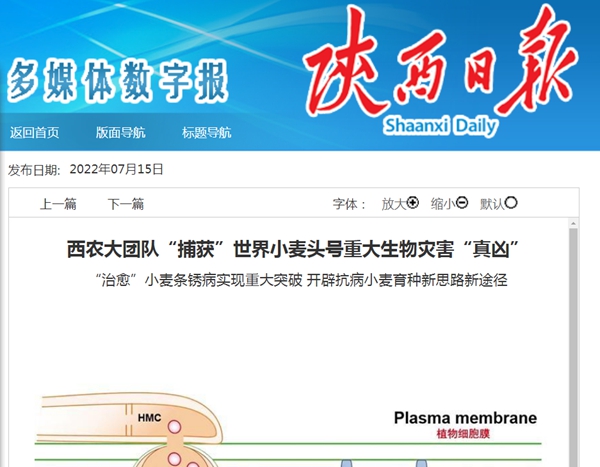 未命名_副本.jpg